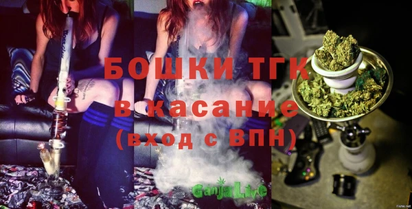 амф Инсар