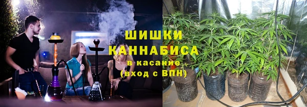 амф Инсар