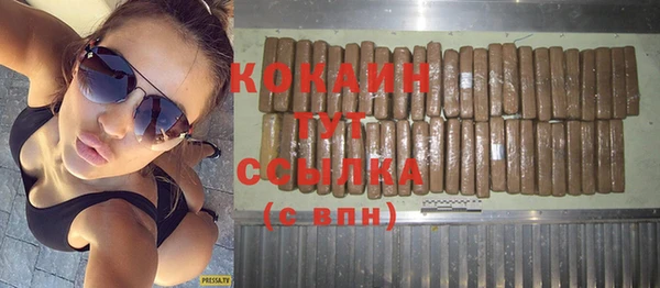 амф Инсар